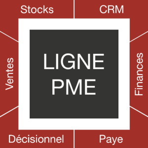 Solutions ligne PME